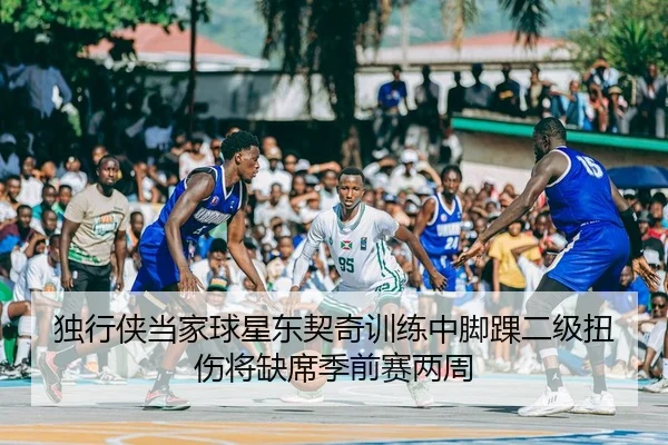 独行侠当家球星东契奇训练中脚踝二级扭伤将缺席季前赛两周